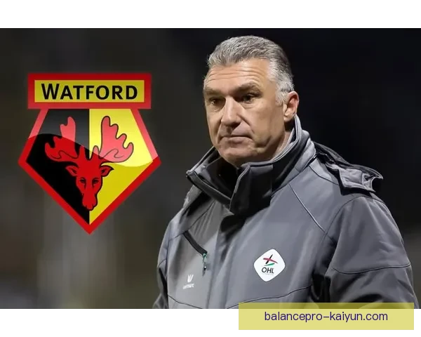 英超教练更替趋势分析及其对球队竞争力的影响